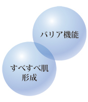 バリア機能すべすべ肌形成