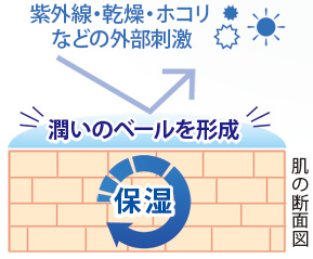 紫外線・乾燥・ホコリ<br />
などの外部刺激潤いのベールを形成肌の断面図、肌表面の膜角質層